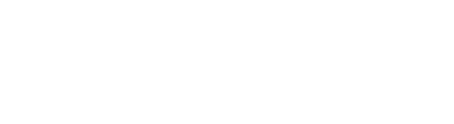 Logo von SVIAE